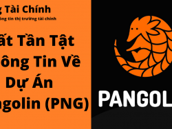 Pangolin (PNG Token) Là Gì? Tất Tần Tật Thông Tin Về Pangolin Token