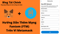 Hướng dẫn thêm mạng lưới FTM trên ví Metamask
